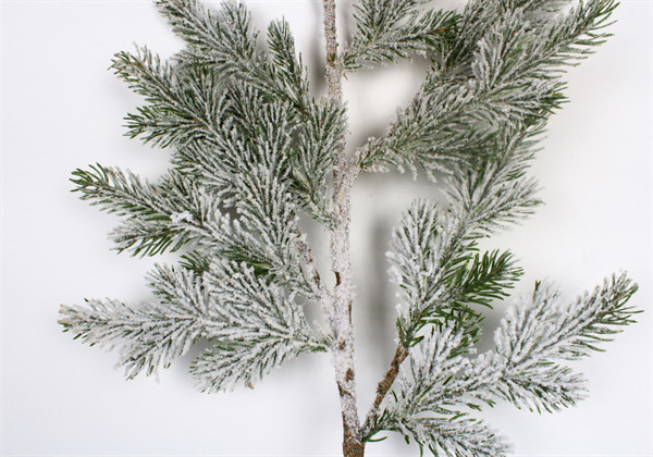 Branches pour Décoration Naturel