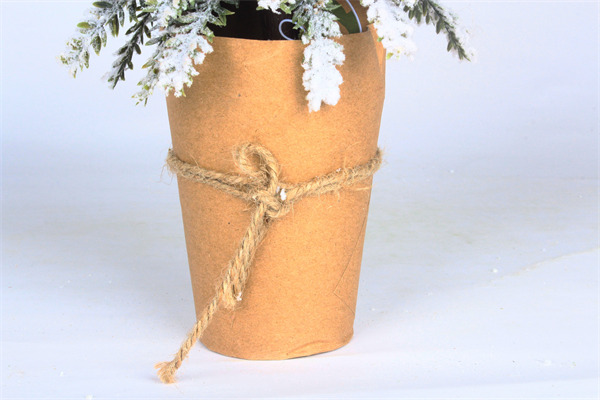 Cèdres pour Noël dans leur emballage d'origine