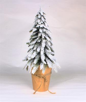 Arbres de cèdre de Noël pour la décoration de la maison