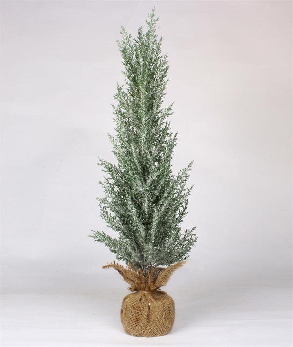 Pine Tree for Christmas for Home Party.jpg