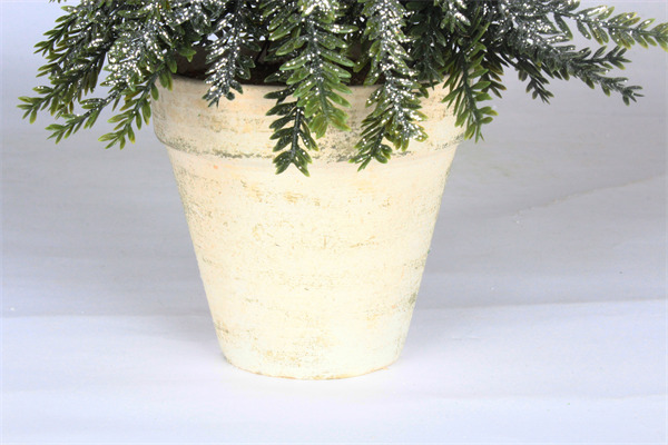 Cedar Trees for Holiday Party Home.jpg